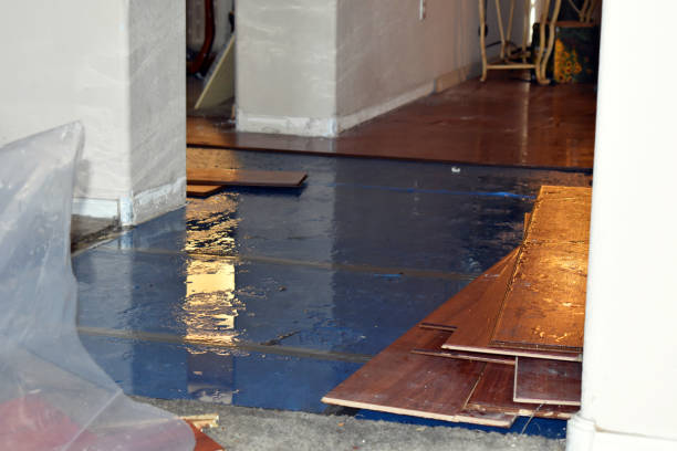 Professional Basement Water Removal technician working in Twin Oaks, OK
